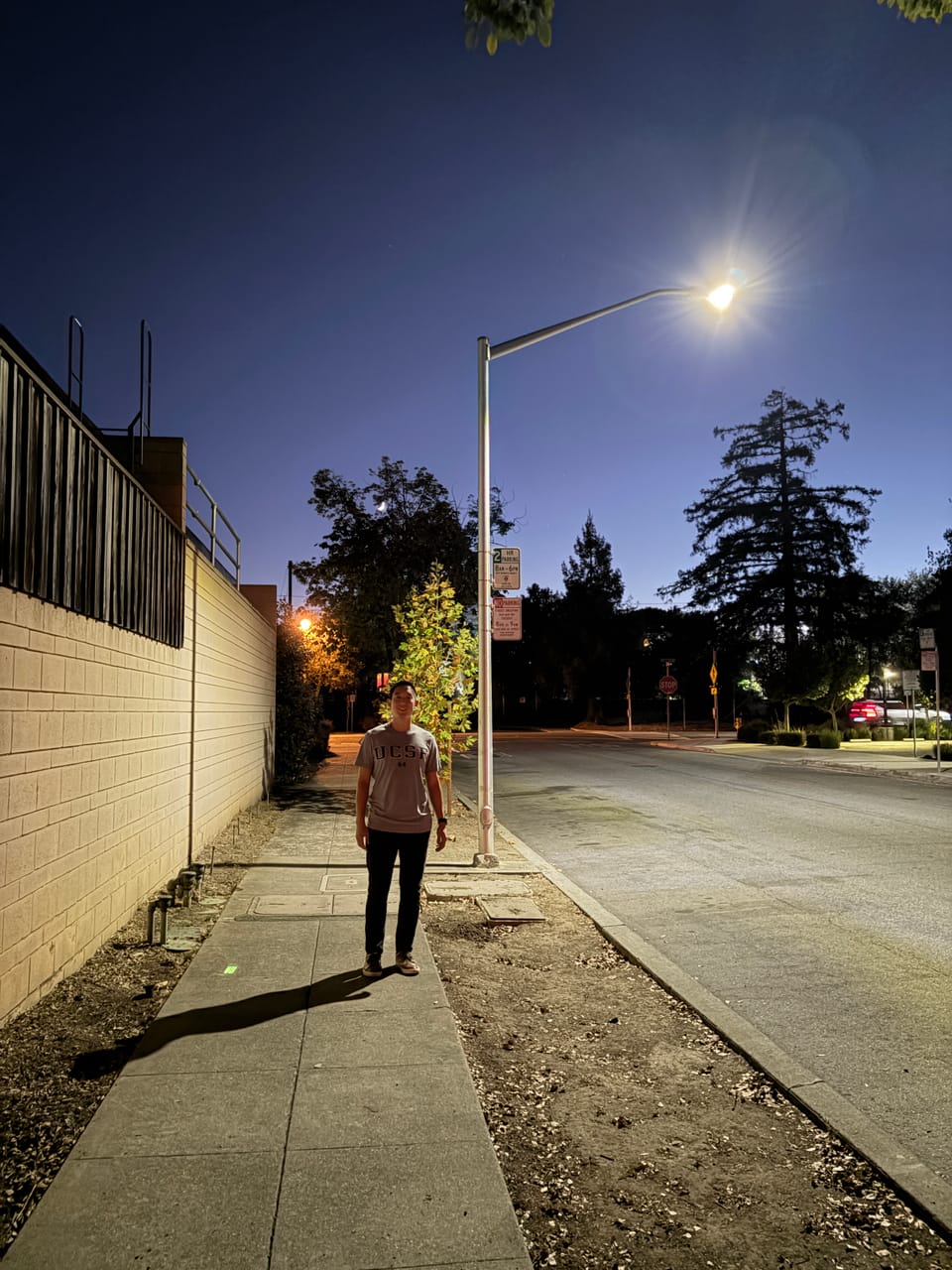 Welcome to Walking Palo Alto
